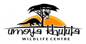 umoya logo